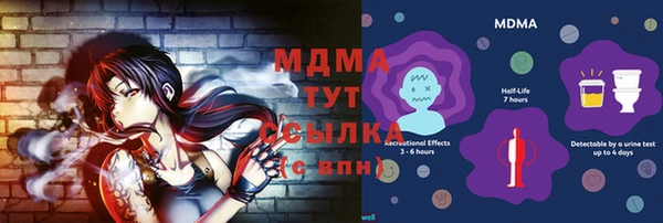 ГАЛЛЮЦИНОГЕННЫЕ ГРИБЫ Абаза
