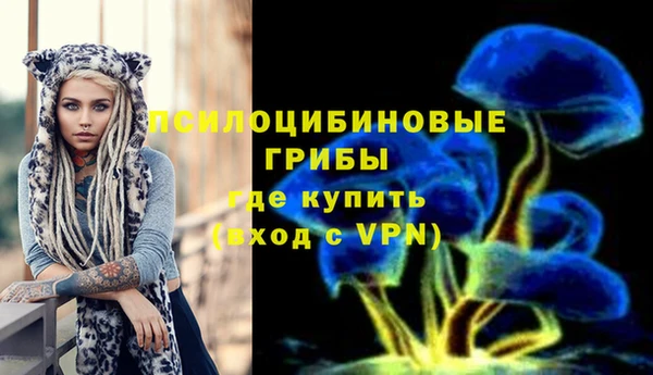 ПСИЛОЦИБИНОВЫЕ ГРИБЫ Арсеньев