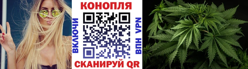 Шишки марихуана Amnesia Новочеркасск