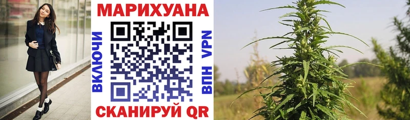 Марихуана семена где купить наркоту Новочеркасск